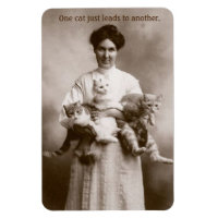 Vintage - Um Gato Leva Um Outro,