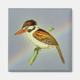 Íman Vintage White Eared Puff Bird com o Rainbow Sky