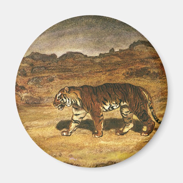Íman Vintage Wild Animal, Bengal Tiger Roaming Plains (Frente)