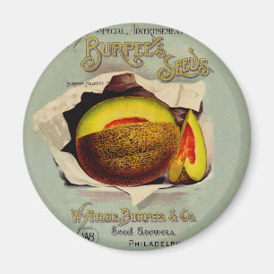 Íman Vintagem de propaganda de sementes de Fruta Cantal