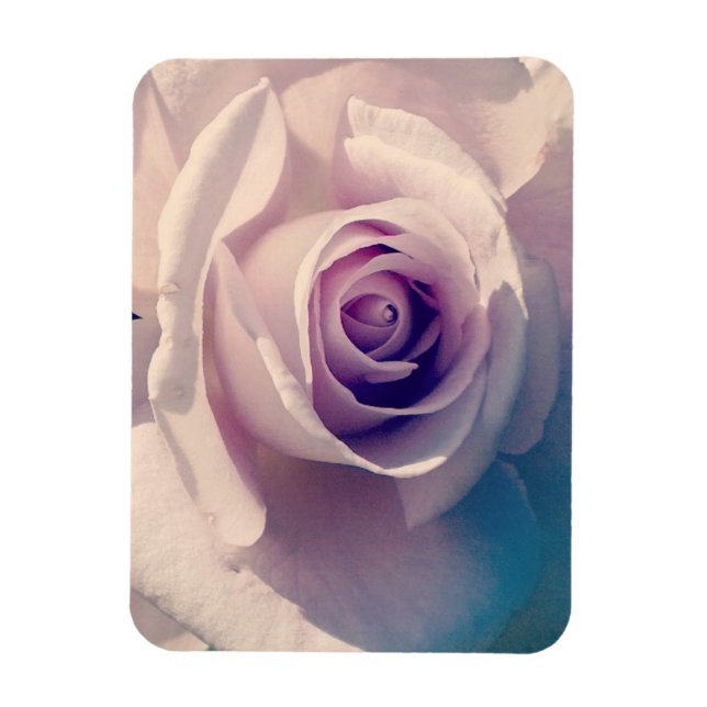 Íman Violet Rosa (Vertical)