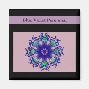 Íman Violeta Azul Perene