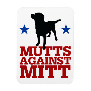 Íman Vira-latas contra a luva