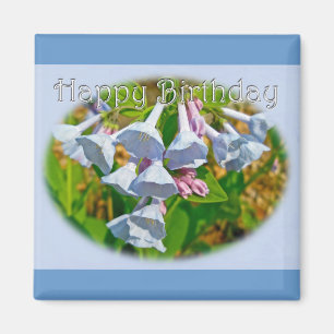 Íman Virginia Bluebells Happy Birthday - Item Coordenad