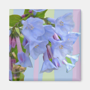 Íman Virginia Bluebells Wildflower Magnet