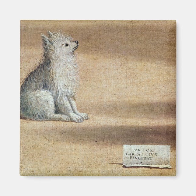 Íman Visão da Rua. Augustine (Frente)