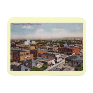 Íman Visão de Ave, Tucson, Arizona 1912 Vintage