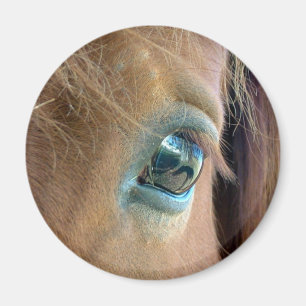 Íman Visão do cavalo