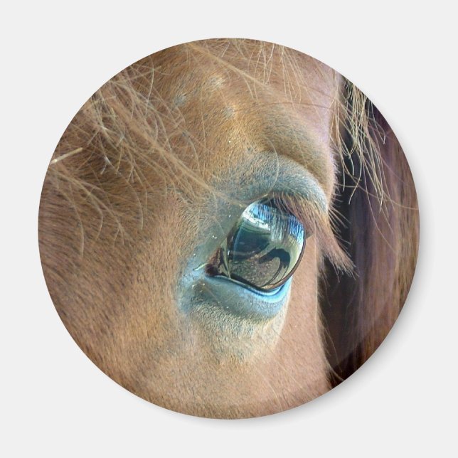 Íman Visão do Cavalo (Frente)