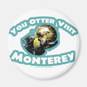 Íman Visita Monterey da lontra