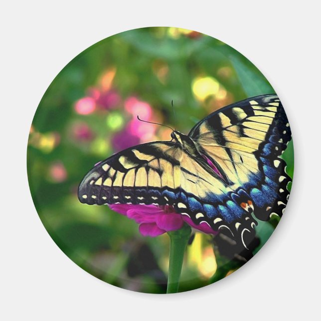 Íman Visitante de Verão (Frente)