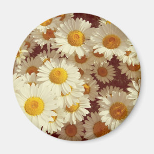 Íman Visitas