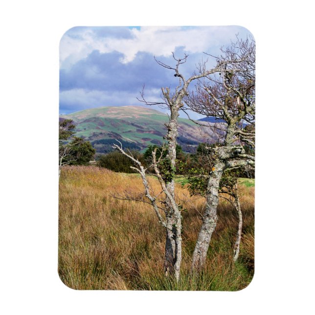 ÍMAN  VISÕES DAS PAREDES (Vertical)