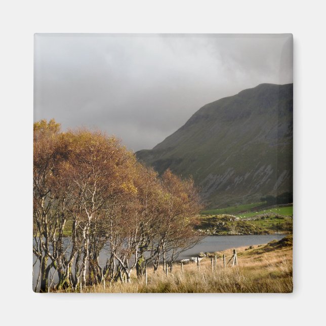 ÍMAN VISÕES DAS PAREDES (Frente)