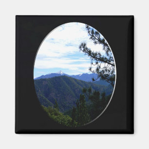 Íman Vista Bully Schup.......