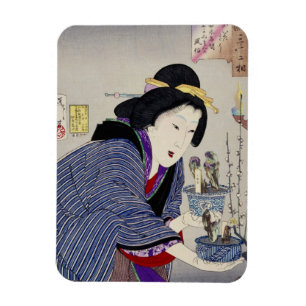 Íman Vista como se quer mudar: A aparência