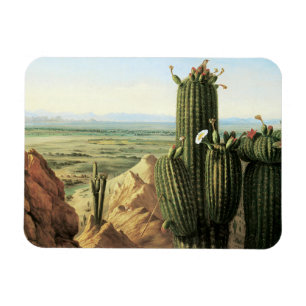 Íman Vista da montanha de Maricopa perto do rio Gila