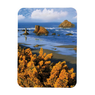 Íman Vista da Praia de Oregon em Bandon