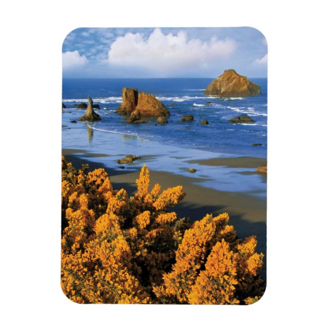 Íman Vista da Praia de Oregon em Bandon (Vertical)
