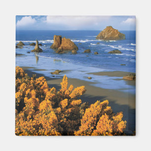 Íman Vista da Praia de Oregon em Bandon