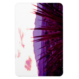 Íman Vista de Montanha Residencial do Skyline em Las Ve