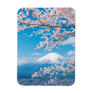 Íman Vista de Monte Fuji com flores de cerejeira