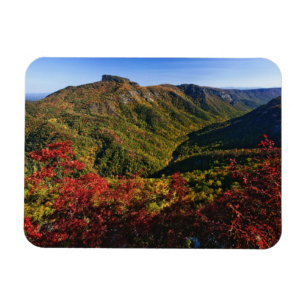 Íman Vista de outono do Linville Gorge muitas vezes cha