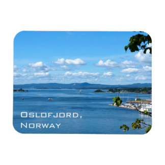 Íman Vista de Verão de Oslofjord de Oslo, Noruega