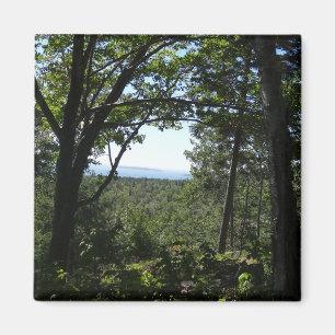 Íman Vista de Verão no Parque Nacional de Acadia