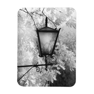 Íman Vista preta e branca do suporte de luz