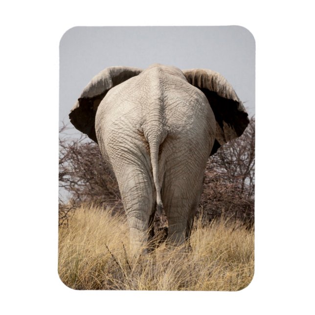 Íman Vista traseira de elefante (Vertical)