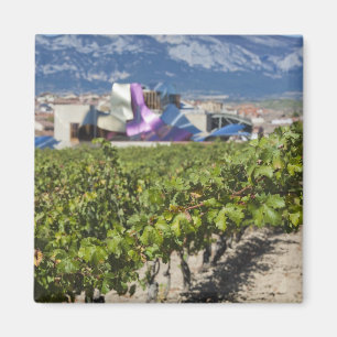 Íman Vista urbana elevada e Hotel Marques de Riscal