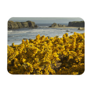 Íman Vistas costeiras, Bandon, Oregon