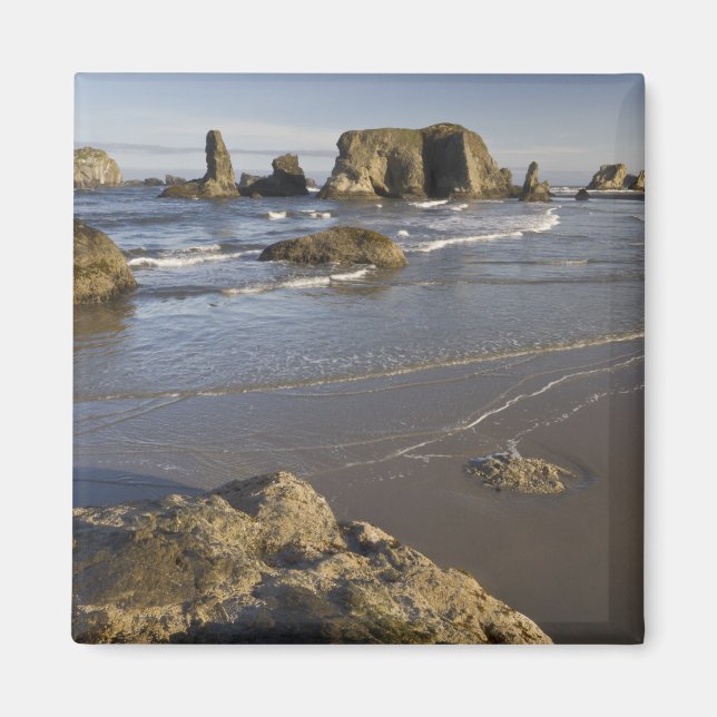 Íman Vistas costeiras, Bandon, Oregon (Frente)