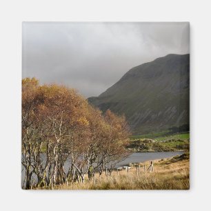 ÍMAN VISTAS DE WALES