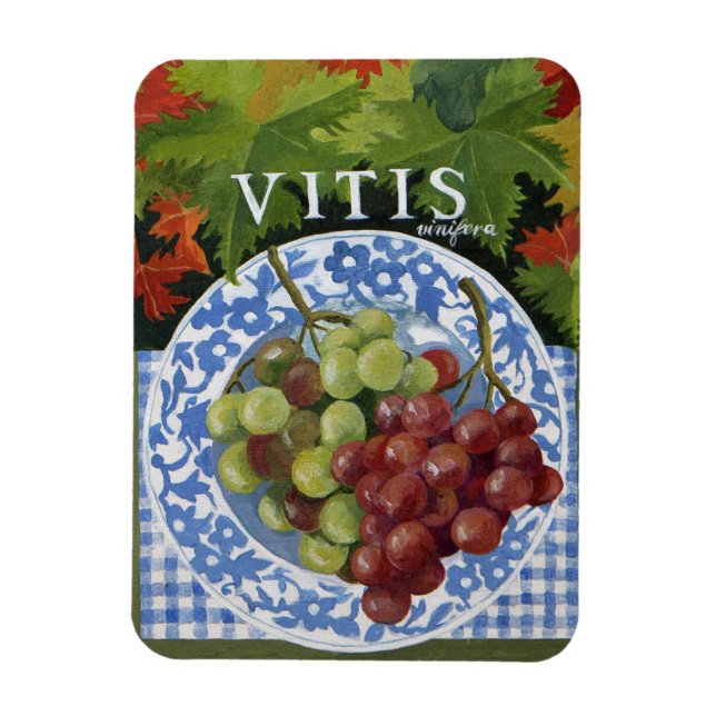 Íman Vitus (Vertical)