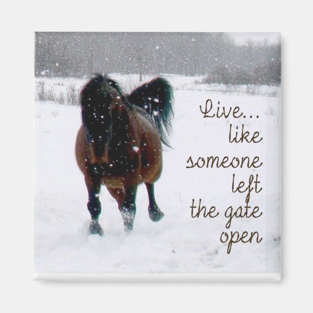 Íman Viva a vida! (Frente)