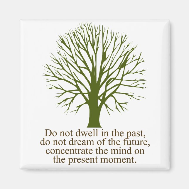 Íman Viva no momento atual (Frente)