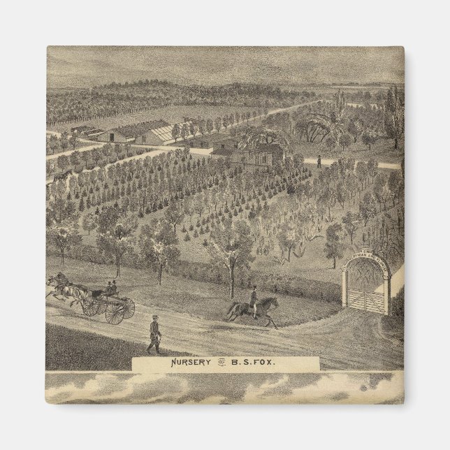 Íman Viveiros de raposa, res, pomar (Frente)