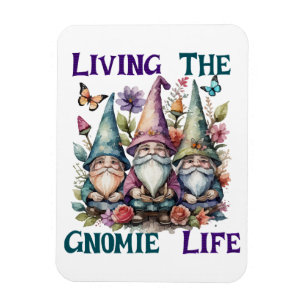 Íman Vivendo a Vida de Gnomo