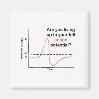 Íman Vivendo Até Seu Potencial De Cheio