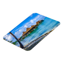 Íman Vivendo na água