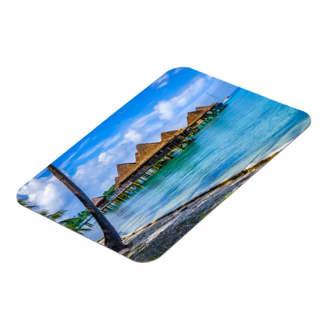 Íman Vivendo na água (Left Side)