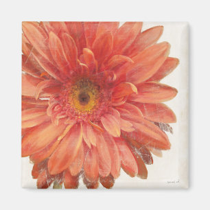 Íman Vivid Daisy