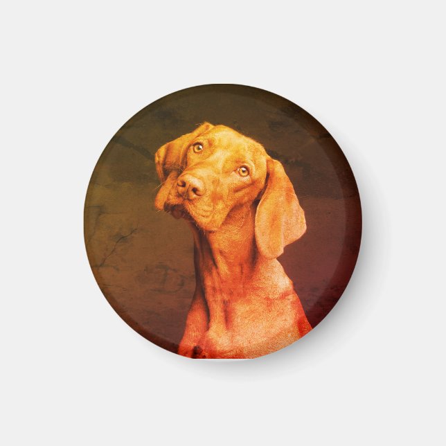 Íman Vizsla (Frente)