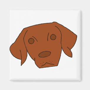 Íman Vizsla bonito