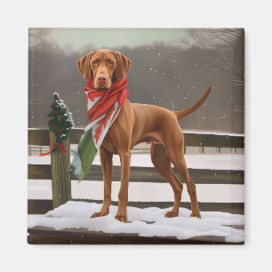 Íman Vizsla Dog no Natal da Neve
