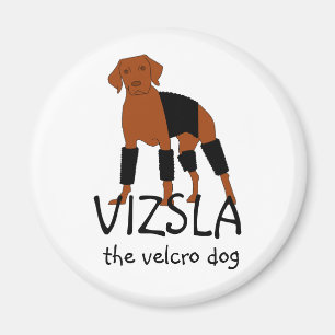 Íman Vizsla o ímã do cão de Velcro
