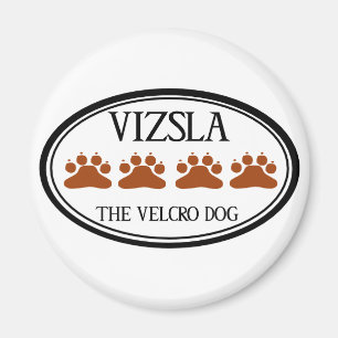 Íman Vizsla o ímã do cão de Velcro