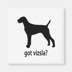 Íman Vizsla obtido